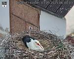 Capi_Dubne_20250503_060003.jpg
