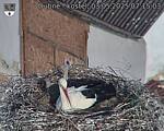 Capi_Dubne_20250503_071503.jpg