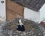 Capi_Dubne_20250503_083003.jpg