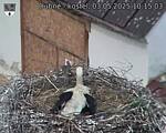 Capi_Dubne_20250503_101503.jpg