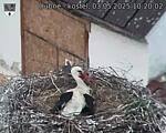 Capi_Dubne_20250503_102002.jpg