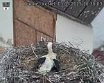 Capi_Dubne_20250503_103003.jpg