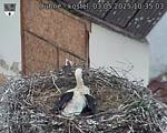 Capi_Dubne_20250503_103503.jpg