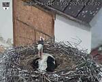 Capi_Dubne_20250503_110002.jpg