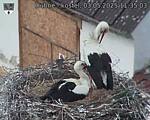 Capi_Dubne_20250503_113503.jpg