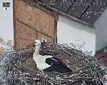 Capi_Dubne_20250503_115003.jpg