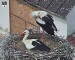 Capi_Dubne_20250503_120003.jpg