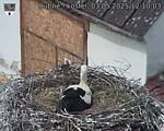 Capi_Dubne_20250503_121003.jpg