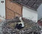 Capi_Dubne_20250503_122003.jpg