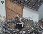 Capi_Dubne_20250503_123003.jpg
