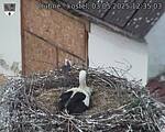 Capi_Dubne_20250503_123503.jpg