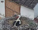Capi_Dubne_20250503_124002.jpg