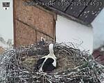Capi_Dubne_20250503_124503.jpg