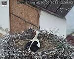 Capi_Dubne_20250503_125003.jpg
