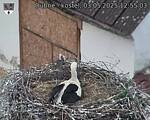 Capi_Dubne_20250503_125503.jpg