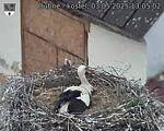 Capi_Dubne_20250503_130502.jpg