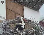 Capi_Dubne_20250503_131503.jpg
