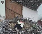 Capi_Dubne_20250503_132003.jpg