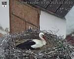 Capi_Dubne_20250503_133503.jpg