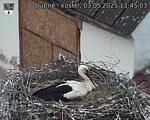 Capi_Dubne_20250503_134503.jpg