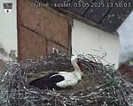Capi_Dubne_20250503_135003.jpg
