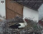 Capi_Dubne_20250503_135503.jpg