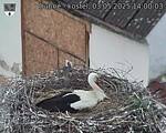 Capi_Dubne_20250503_140003.jpg