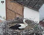 Capi_Dubne_20250503_140502.jpg