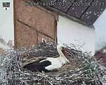 Capi_Dubne_20250503_141003.jpg