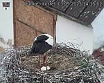 Capi_Dubne_20250503_141502.jpg
