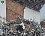 Capi_Dubne_20250503_143002.jpg