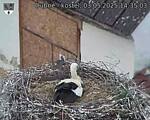 Capi_Dubne_20250503_143503.jpg