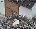 Capi_Dubne_20250503_145003.jpg