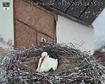 Capi_Dubne_20250503_145503.jpg