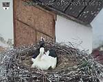 Capi_Dubne_20250503_150002.jpg