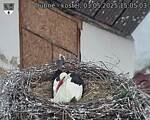 Capi_Dubne_20250503_150503.jpg