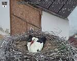 Capi_Dubne_20250503_151003.jpg