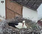 Capi_Dubne_20250503_152503.jpg