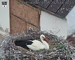 Capi_Dubne_20250503_153003.jpg