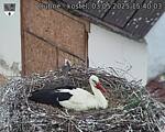 Capi_Dubne_20250503_154003.jpg