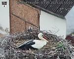 Capi_Dubne_20250503_155503.jpg