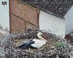 Capi_Dubne_20250503_160003.jpg