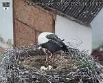 Capi_Dubne_20250503_161002.jpg