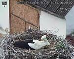 Capi_Dubne_20250503_162003.jpg
