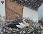 Capi_Dubne_20250503_162503.jpg