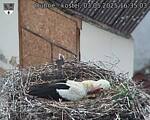 Capi_Dubne_20250503_163503.jpg