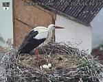 Capi_Dubne_20250503_164003.jpg
