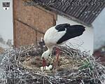 Capi_Dubne_20250503_164503.jpg