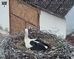 Capi_Dubne_20250503_165502.jpg
