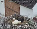 Capi_Dubne_20250503_174003.jpg